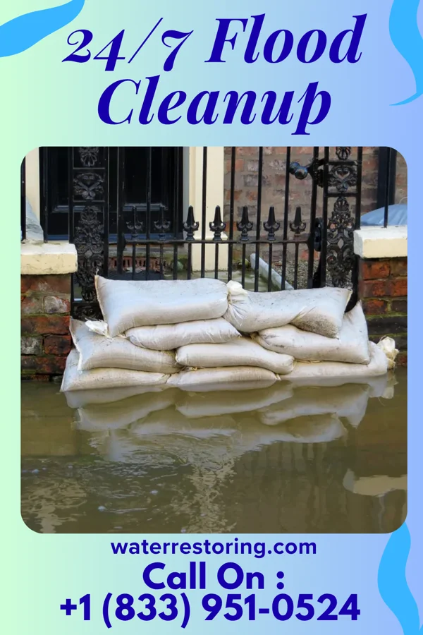 24/7 Flood Cleanup in Grand Point, LA