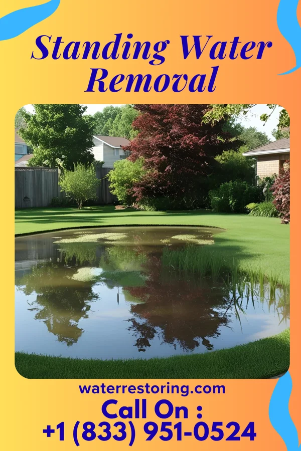 Standing Water Removal in Grand Point, LA